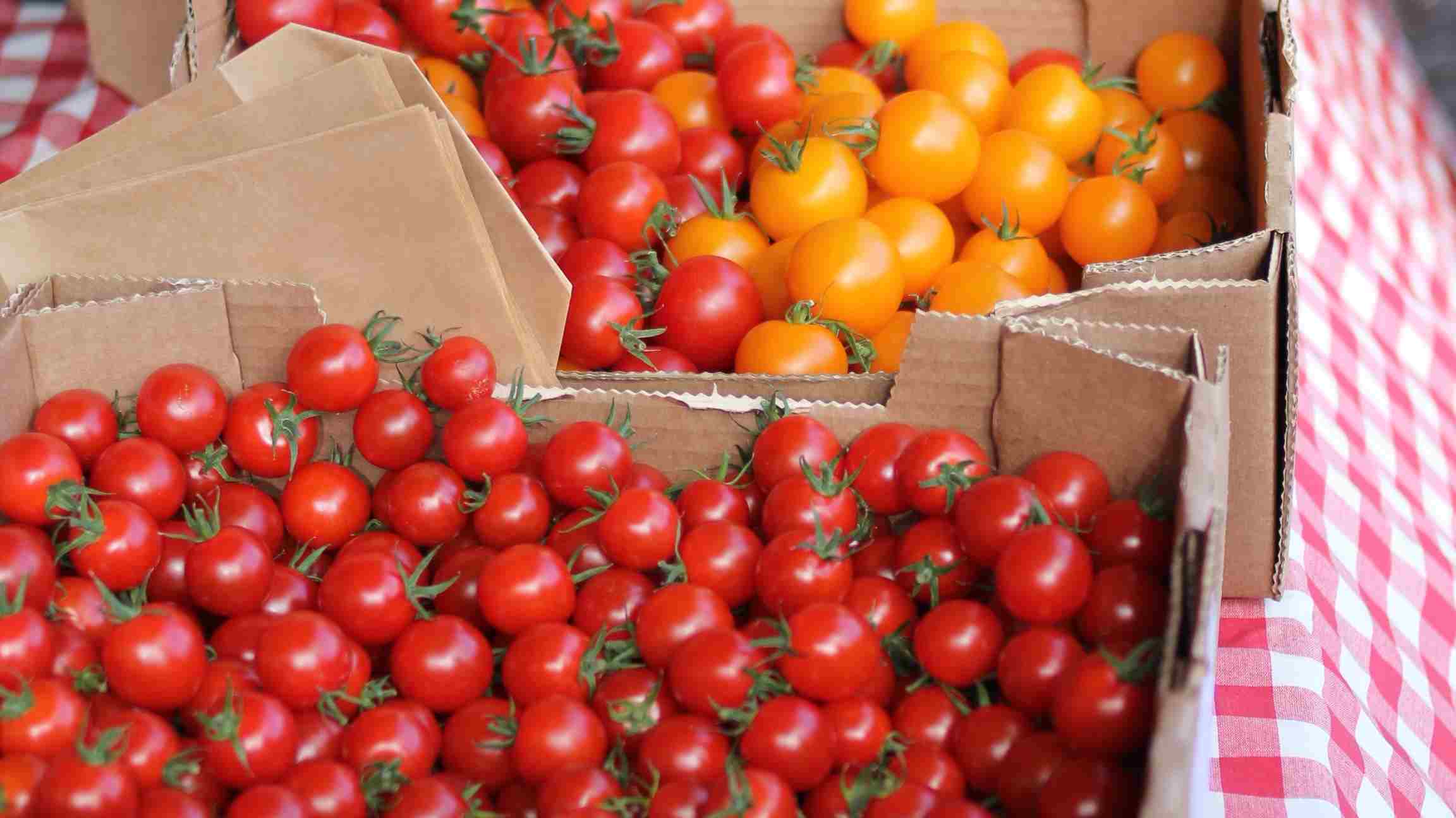 Tomatoes at Farmer Market