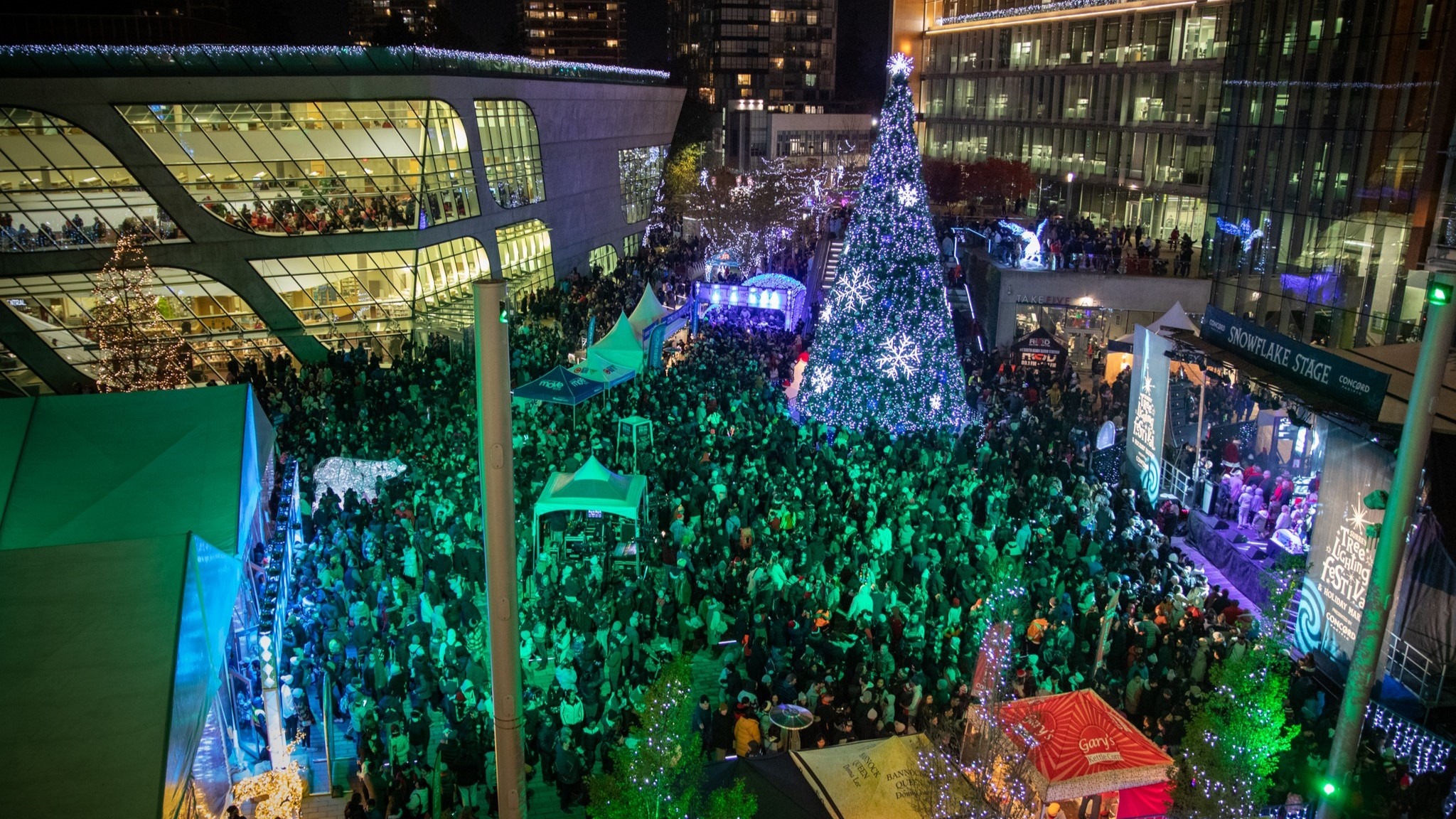 Surrey Tree Lighting Festival