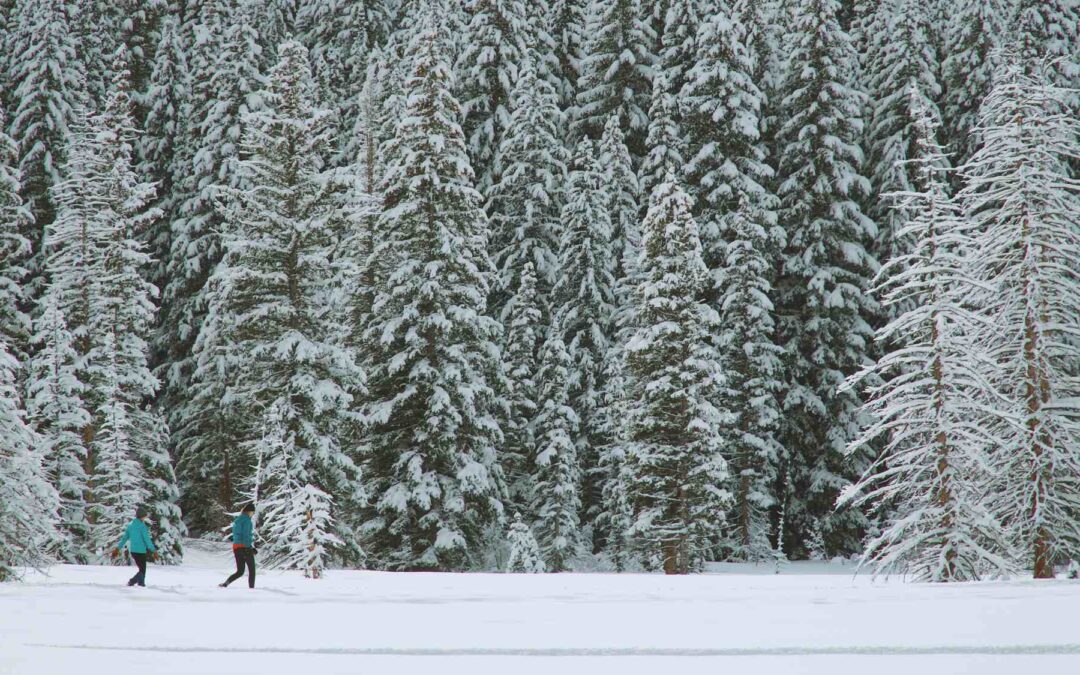 7 Outdoor Winter Fitness Activities in Metro Vancouver