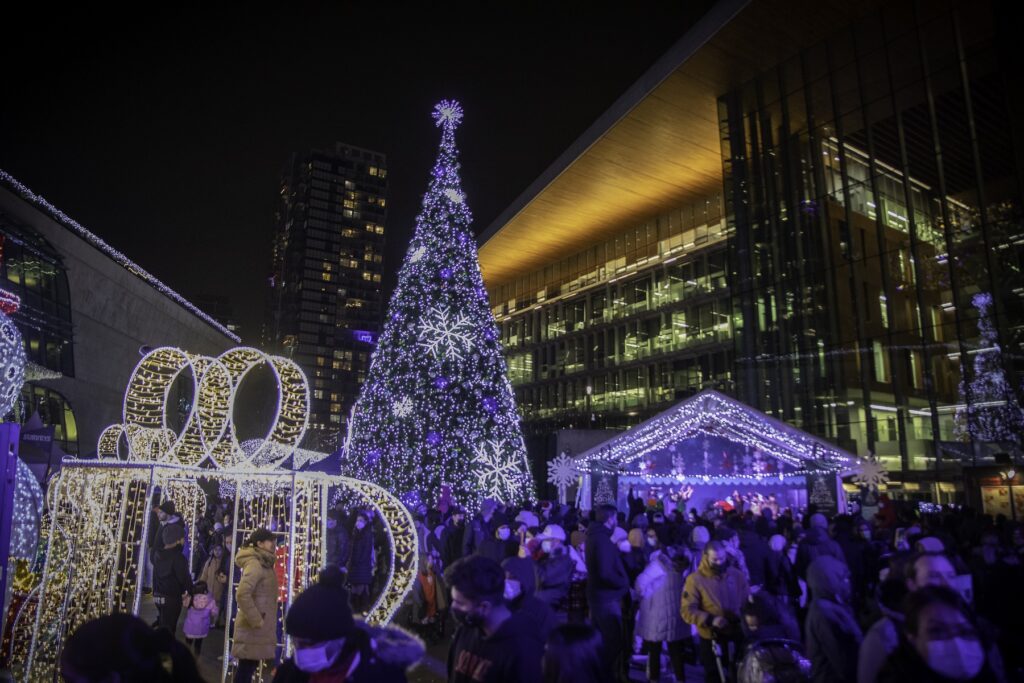 Surrey Tree Lighting.