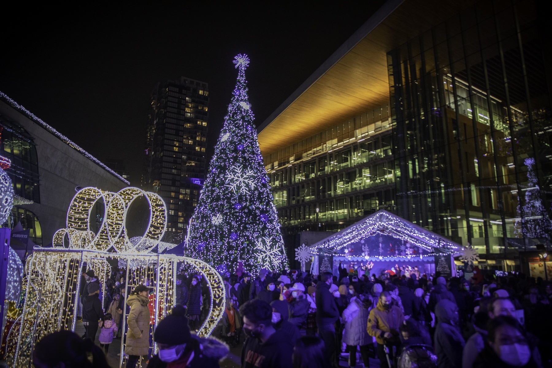 Surrey Tree Lighting.